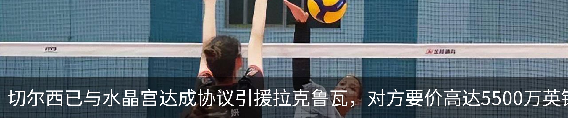 新闻动态