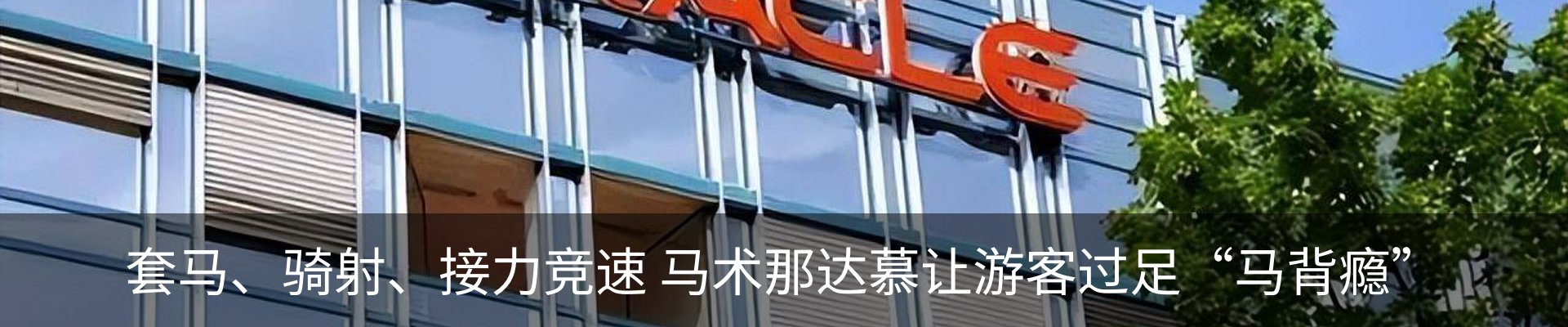 新闻动态