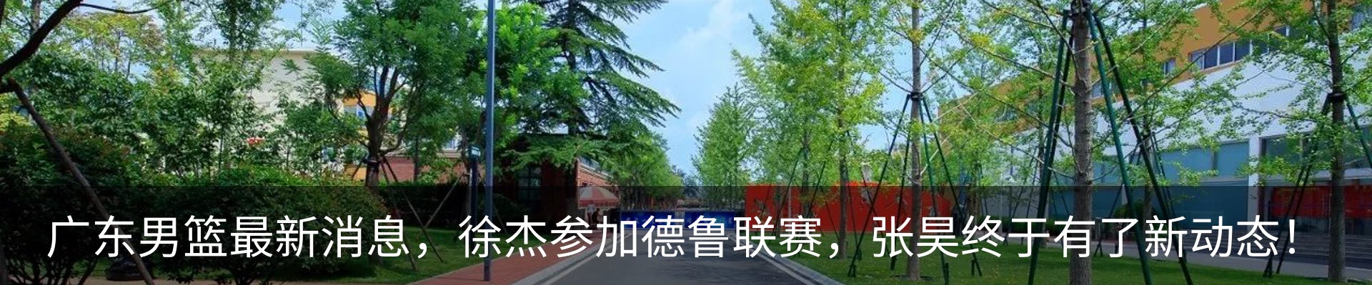 新闻动态