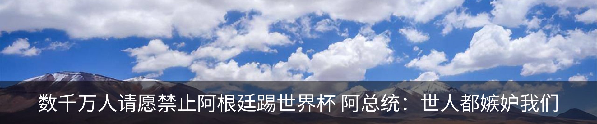 新闻动态