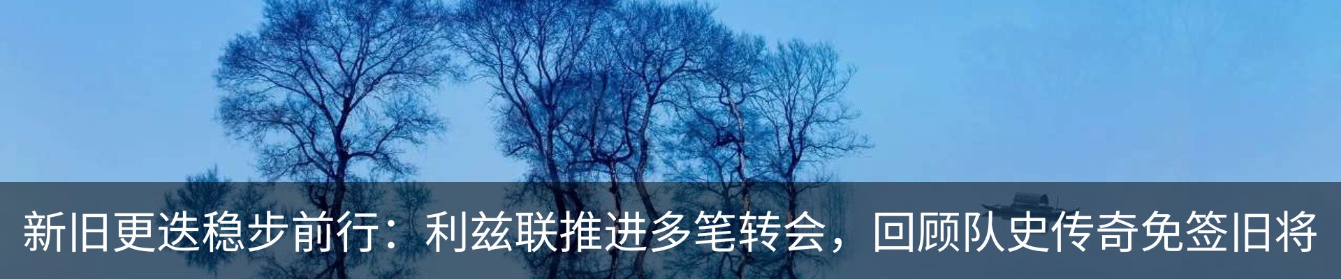 新闻动态