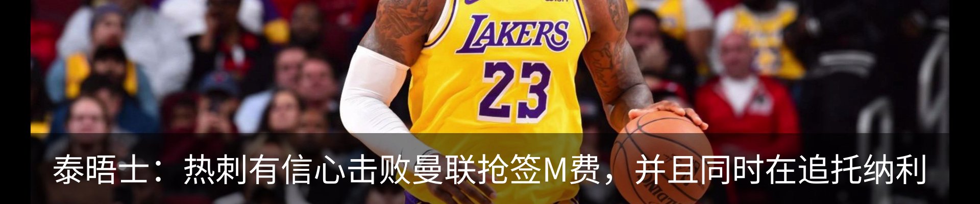 新闻动态