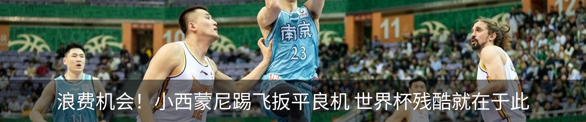 新闻动态