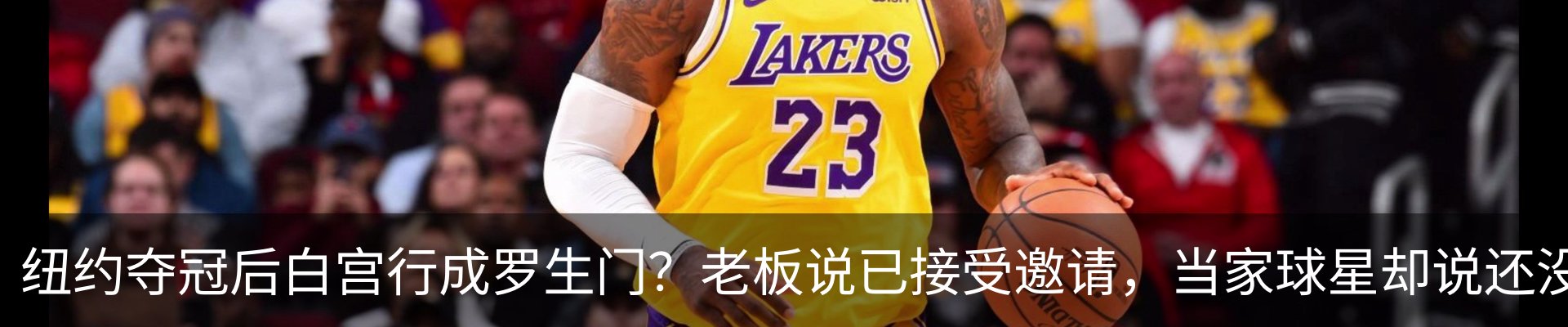 新闻动态