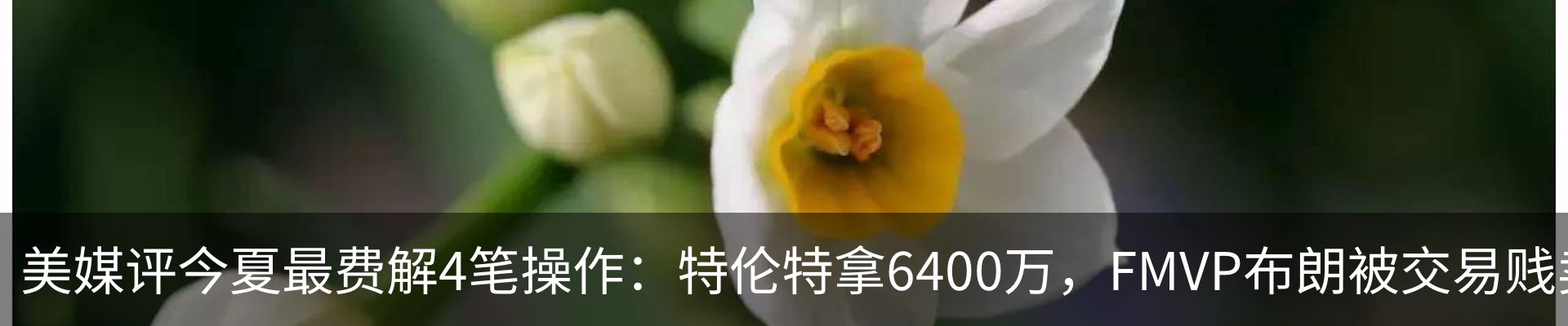 新闻动态