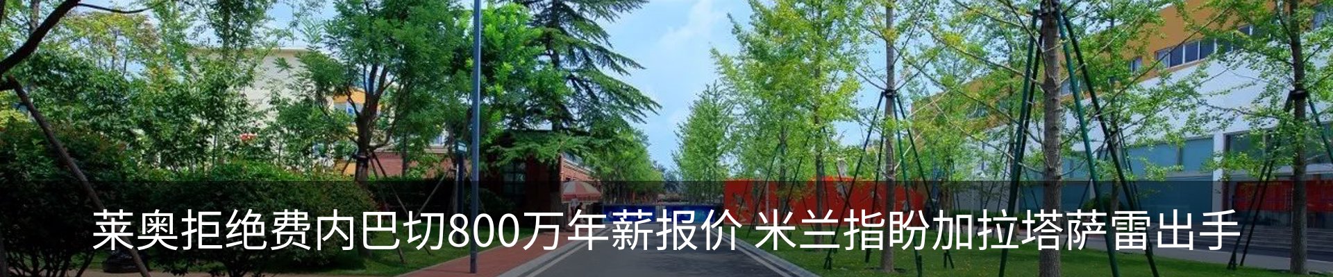 新闻动态