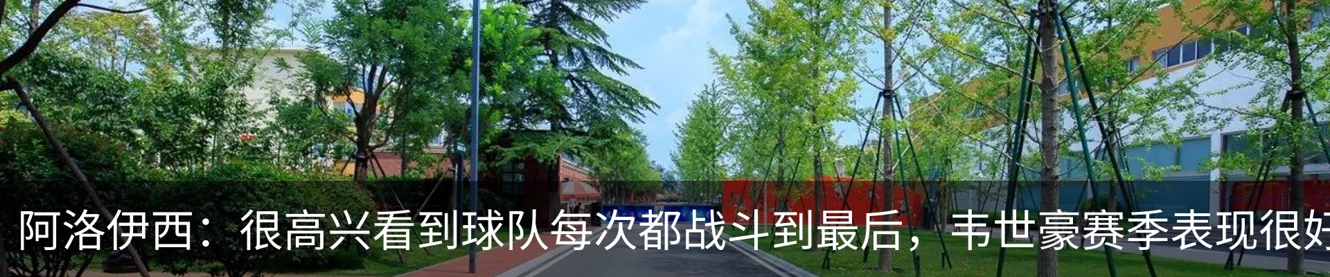 新闻动态