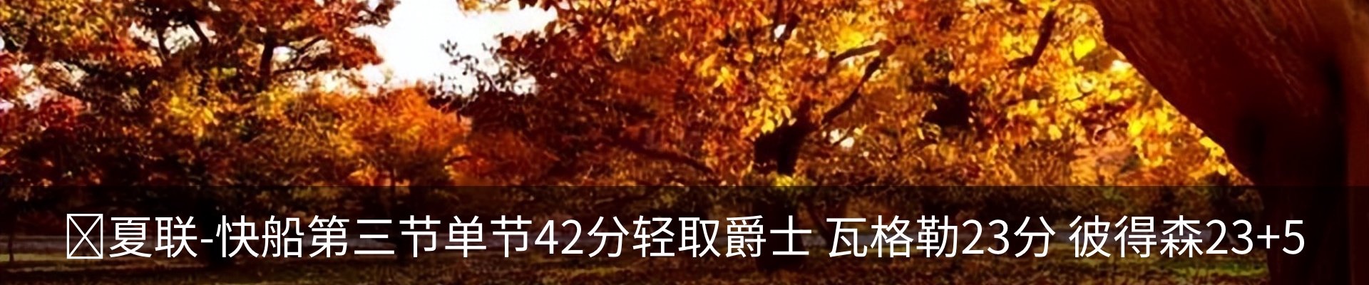 新闻动态