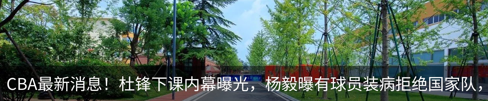 新闻动态