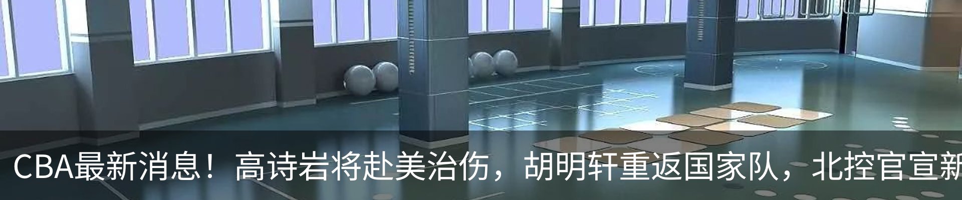 新闻动态